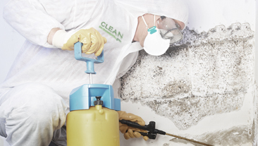 Mold Removal & Remediation, Atlanta, GA