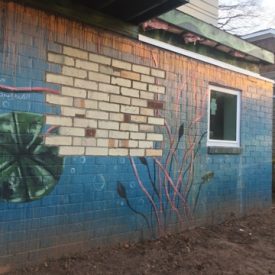 Atlanta Lead Paint Issues