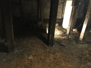 Atlanta Mold Removal