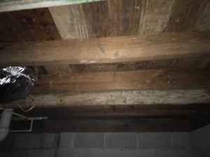 Atlanta mold removal