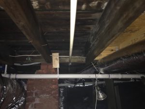Atlanta Mold Removal
