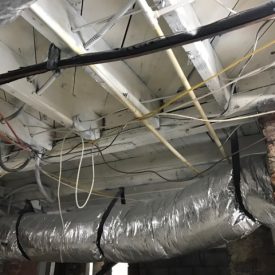 Atlanta Mold Removal
