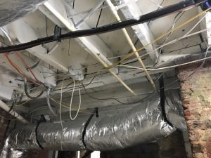 Atlanta Mold Removal