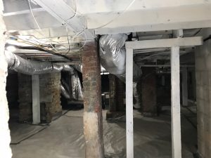 Atlanta Mold Removal
