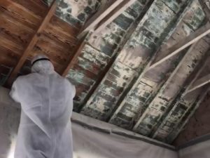 Atlanta Historic Restoration