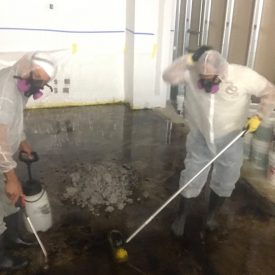 Atlanta Mold Removal