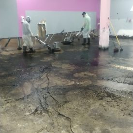 Atlanta Mold Removal